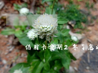 信用卡逾期2年了怎么还 信用卡逾期2年了怎么还