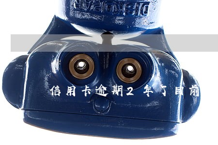 信用卡逾期2年了目前没钱还