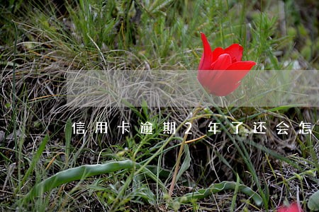 信用卡逾期2年了还会怎么样
