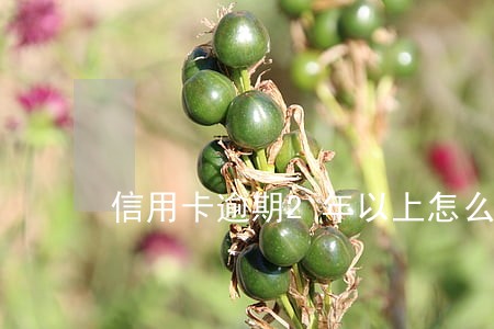 信用卡逾期2年以上怎么办 信用卡逾期2年以上怎么办