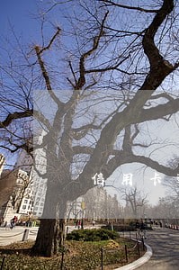 信用卡逾期2年出国能回国吗 信用卡逾期2年出国能回国吗