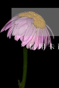 信用卡逾期2年只还本金行不行 信用卡逾期2年只还本金行不行