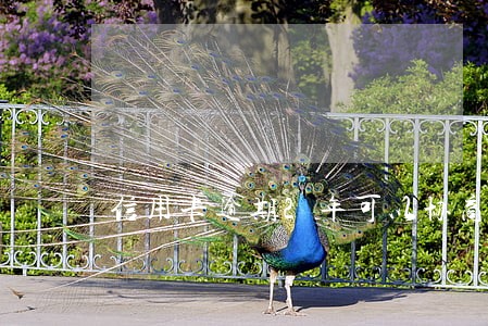 信用卡逾期2年可以协商分期嘛