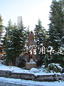 信用卡逾期2年可以重新申请 信用卡逾期2年可以重新申请