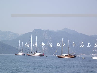 信用卡逾期2年后怎么还