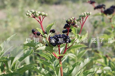 信用卡逾期2年后还了是否还可以继续使用 信用卡逾期2年后还了是否还可以继续使用