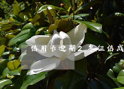 信用卡逾期2年征信成了止付 信用卡逾期2年征信成了止付