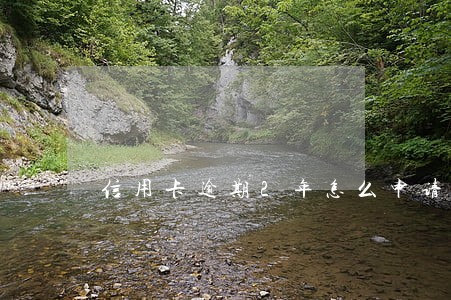 信用卡逾期2年怎么申请减免 信用卡逾期2年怎么申请减免