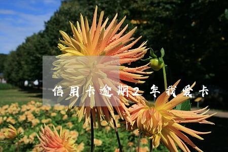信用卡逾期2年我爱卡 信用卡逾期2年我爱卡