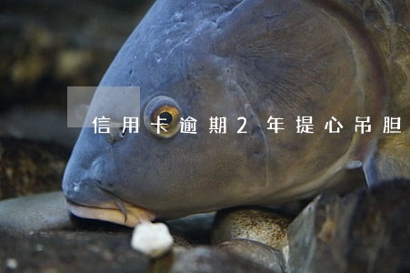 信用卡逾期2年提心吊胆