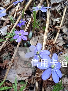 信用卡逾期2年收到的邮件 信用卡逾期2年收到的邮件