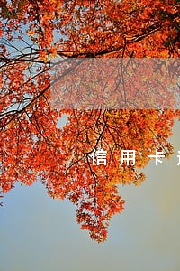 信用卡逾期2年没还能借小贷吗 信用卡逾期2年没还能借小贷吗