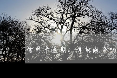 信用卡逾期2年能做车吗 信用卡逾期2年能做车吗