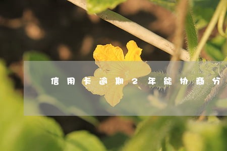信用卡逾期2年能协商分期吗 信用卡逾期2年能协商分期吗