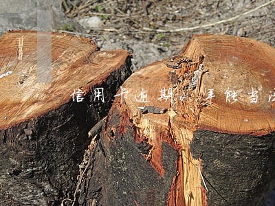 信用卡逾期2年能当法人吧 信用卡逾期2年能当法人吧