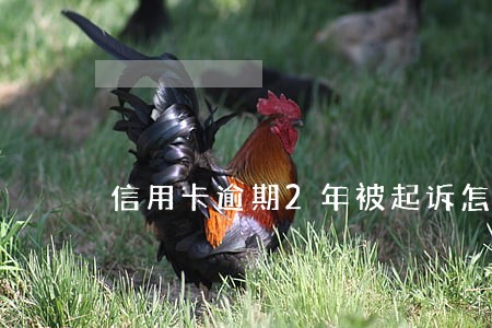 信用卡逾期2年被起诉怎么处理 信用卡逾期2年被起诉怎么处理