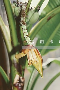 信用卡逾期2年解决办法 信用卡逾期2年解决办法