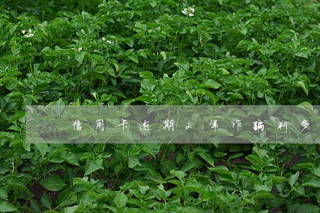 信用卡逾期2年诈骗判多久 信用卡逾期2年诈骗判多久