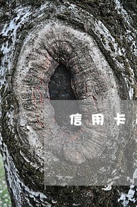 信用卡逾期2年还了还能用吗 信用卡逾期2年还了还能用吗