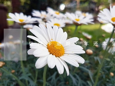 信用卡逾期2年还本金可以吗 信用卡逾期2年还本金可以吗