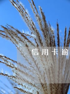 信用卡逾期2日后果 信用卡逾期2日后果