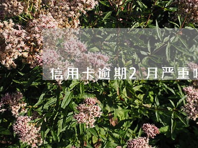 信用卡逾期2月严重吗 信用卡逾期2月严重吗