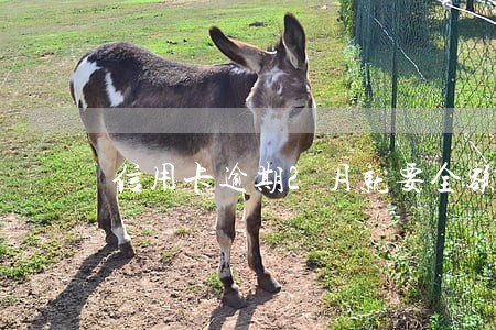 信用卡逾期2月就要全额还款 信用卡逾期2月就要全额还款