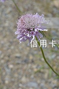 信用卡逾期2月还第一个月 信用卡逾期2月还第一个月
