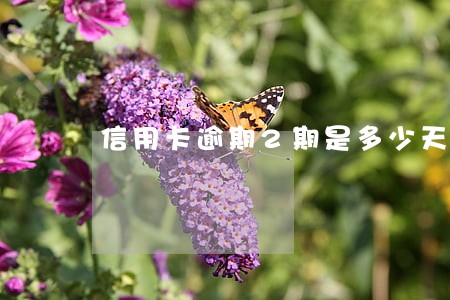 信用卡逾期2期是多少天 信用卡逾期2期是多少天