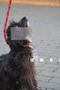 信用卡逾期2期有什么影响