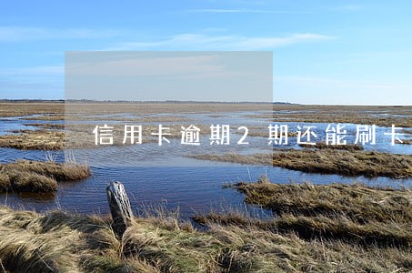 信用卡逾期2期还能刷卡吗 信用卡逾期2期还能刷卡吗