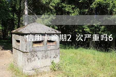 信用卡逾期2次严重吗6 信用卡逾期2次严重吗6