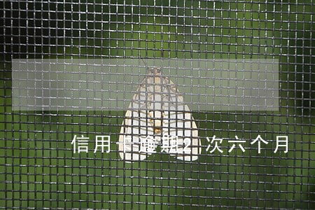 信用卡逾期2次六个月