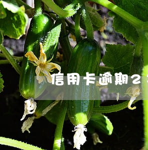 信用卡逾期2次分期怎么办