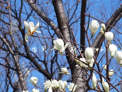信用卡逾期2次利率上浮多少 信用卡逾期2次利率上浮多少