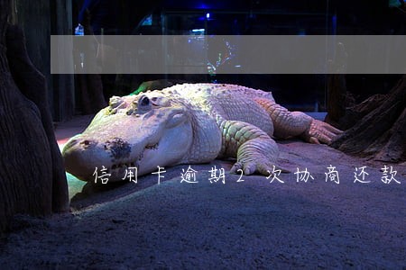 信用卡逾期2次协商还款 信用卡逾期2次协商还款