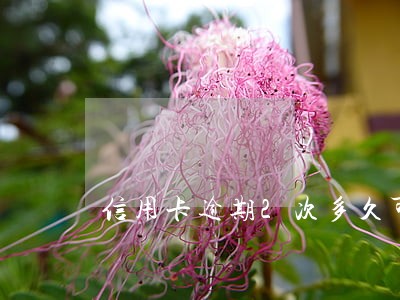 信用卡逾期2次多久可以消除 信用卡逾期2次多久可以消除