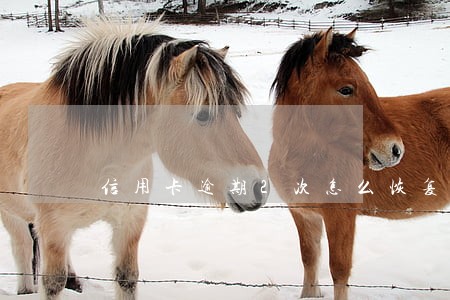 信用卡逾期2次怎么恢复征信