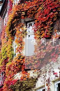 信用卡逾期2次损失20万 信用卡逾期2次损失20万