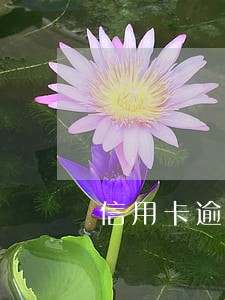信用卡逾期2次能贷款么 信用卡逾期2次能贷款么
