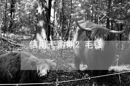 信用卡逾期2毛钱 信用卡逾期2毛钱