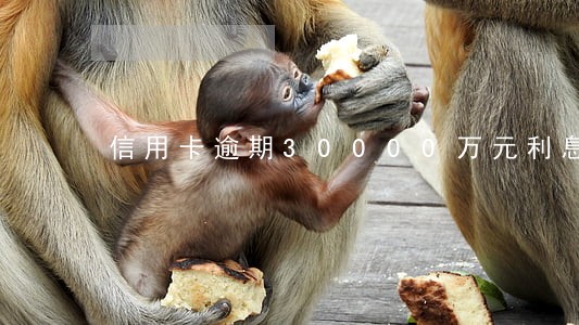 信用卡逾期30000万元利息
