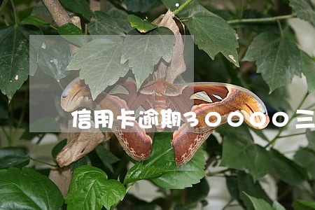 信用卡逾期30000三年 信用卡逾期30000三年
