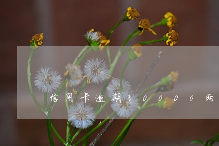 信用卡逾期30000两年 信用卡逾期30000两年