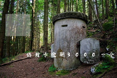 信用卡逾期3000一个月 信用卡逾期3000一个月