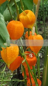 信用卡逾期3000不接受协商 信用卡逾期3000不接受协商