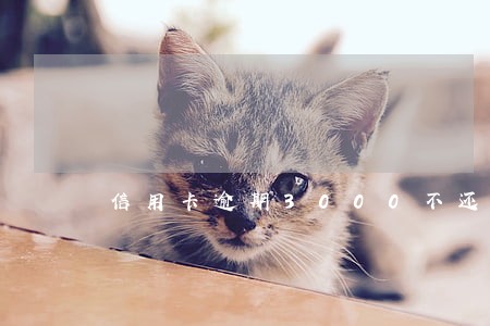 信用卡逾期3000不还后果