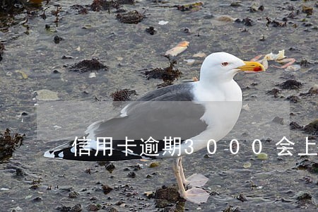 信用卡逾期3000会上门吗 信用卡逾期3000会上门吗