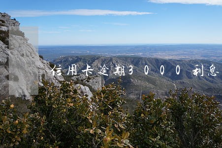 信用卡逾期3000利息 信用卡逾期3000利息