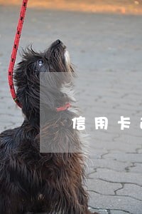 信用卡逾期3000多1个多月 信用卡逾期3000多1个多月